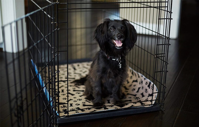 Multipurpose Waterproof Dog Mat Multipurpose Waterproof Dog Mat